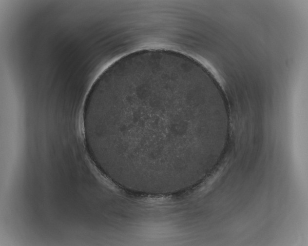 X0000110870887200906251226