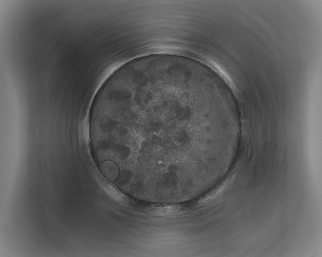 X0000110870891200906251226