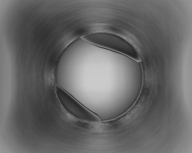 X0000110870897200906251226