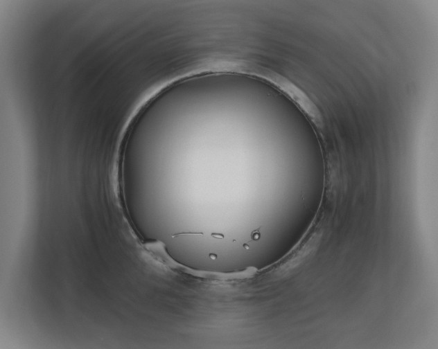 X0000110870904200906251226