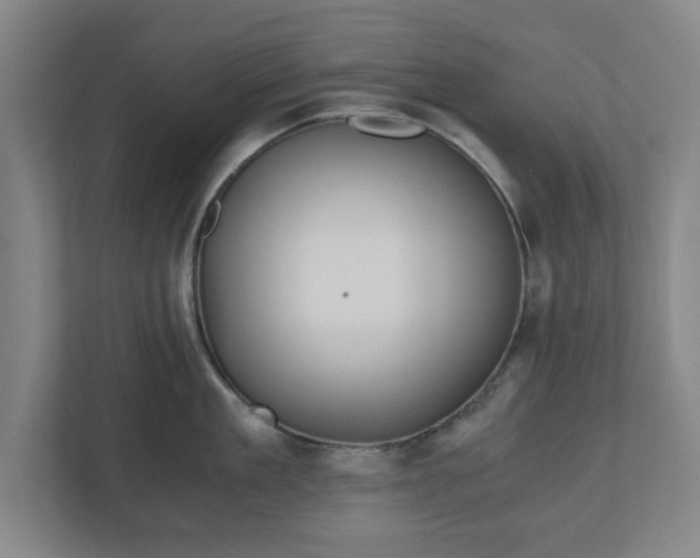 X0000110870909200906251226