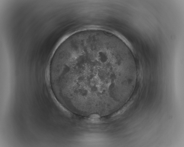 X0000110870911200906251226