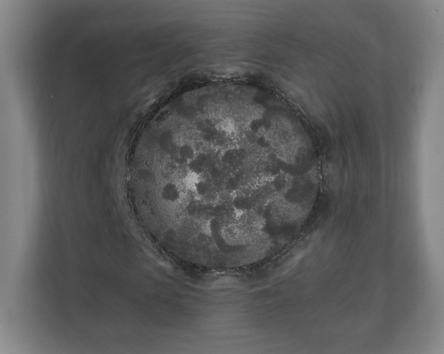 X0000110870913200906251225