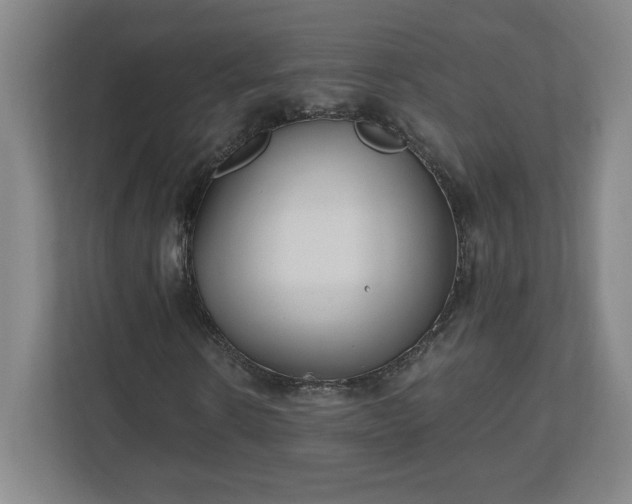 X0000110870914200906251225