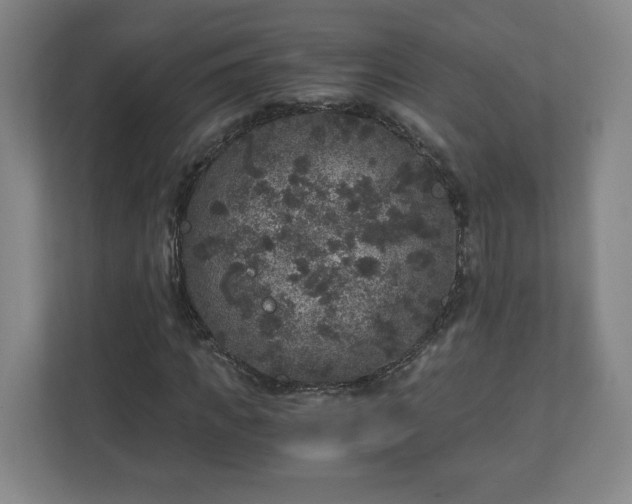 X0000110870917200906251225