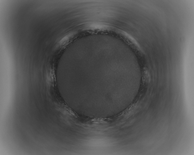 X0000110870918200906251225