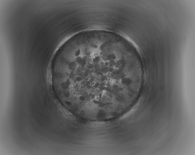 X0000110870925200906251225