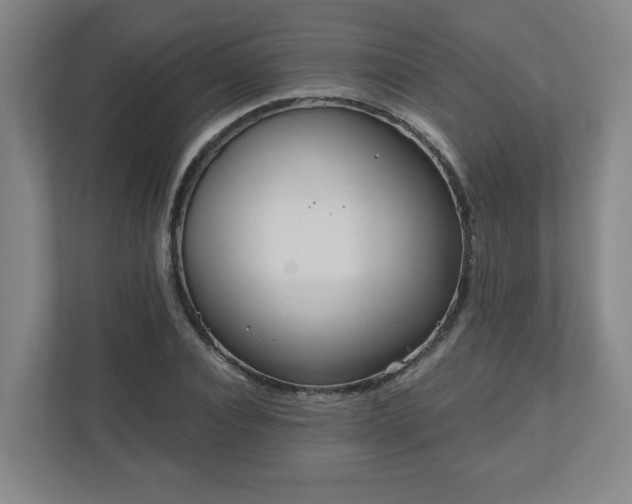 X0000110870928200906251226