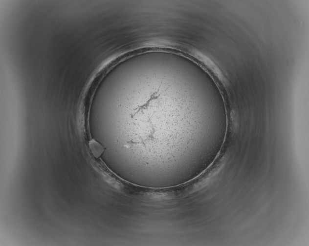 X0000110870931200906251226