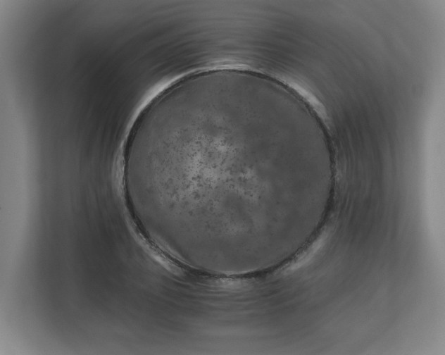 X0000110870933200906251226