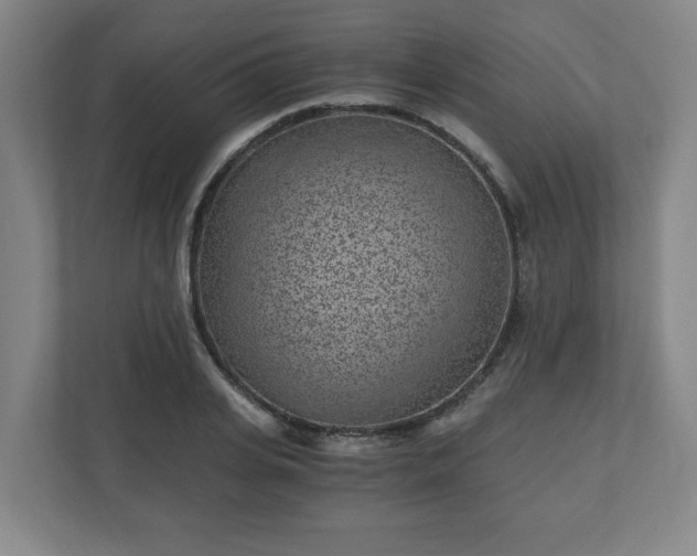 X0000110870935200906251226