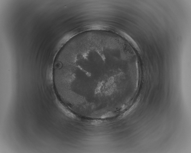 X0000110870938200906251226