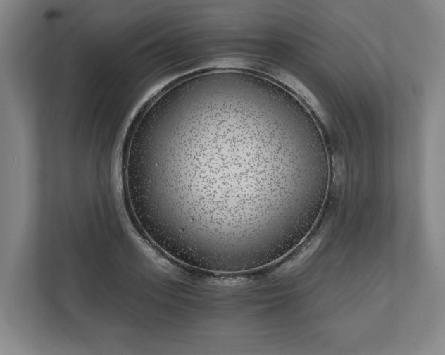 X0000110870939200906251226