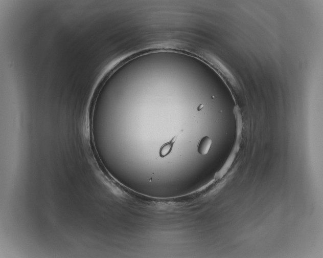 X0000110870940200906251226