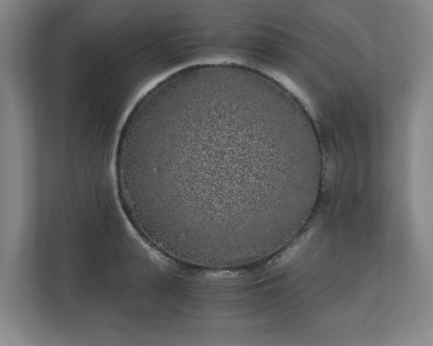 X0000110870943200906251226