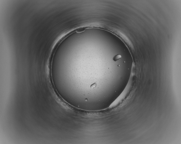 X0000110870944200906251226