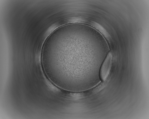 X0000110870946200906251226