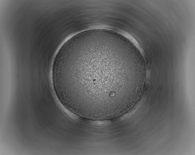 X0000110870947200906251226