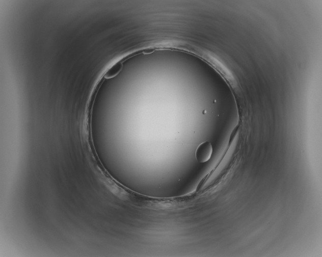 X0000110870948200906251226