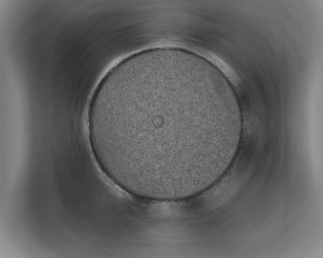 X0000110870950200906251226