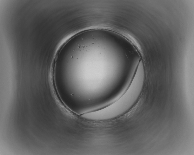 X0000110870952200906251226