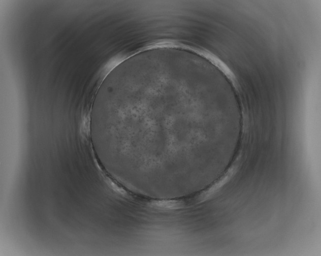 X0000110870953200906251226