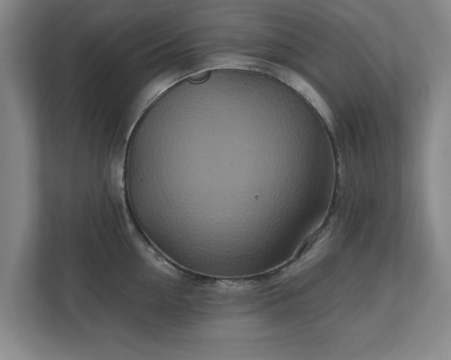 X0000110870954200906251226