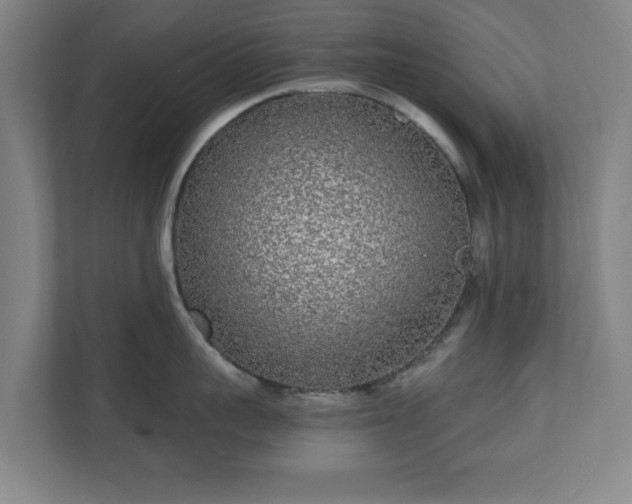 X0000110870959200906251226