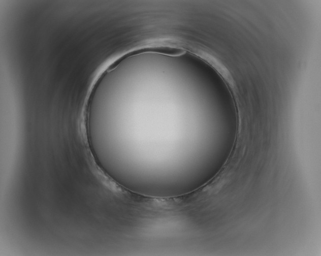 X0000110870960200906251226