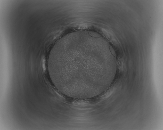 X0000110870962200906251225