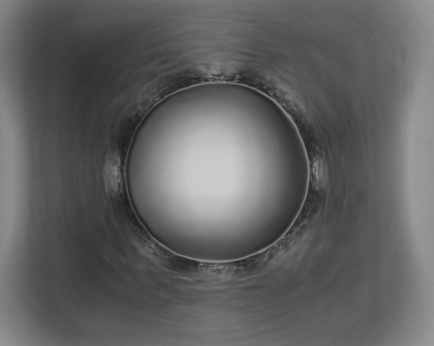 X0000110870963200906251225