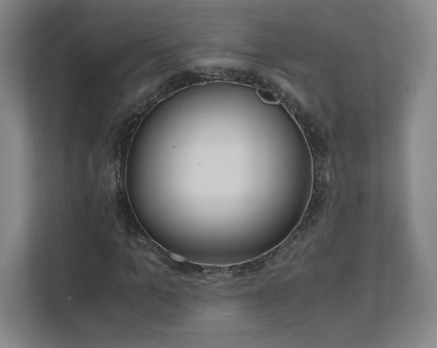 X0000110870965200906251225