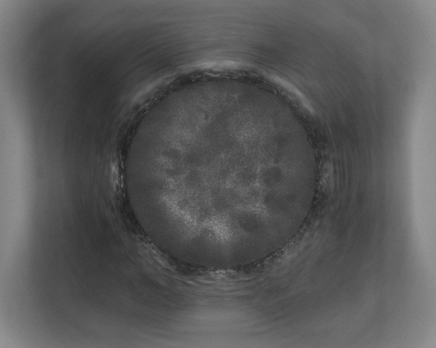 X0000110870966200906251225