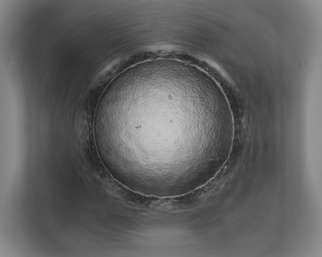 X0000110870967200906251225