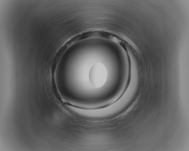 X0000110870969200906251225