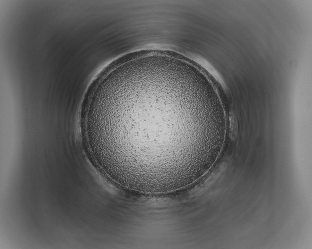 X0000110870972200906251225