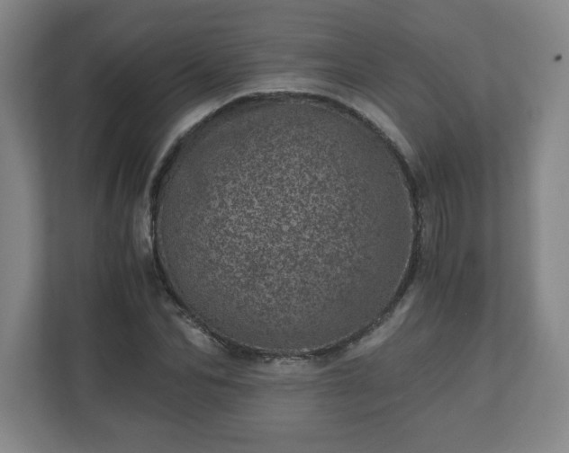 X0000110870974200906251225