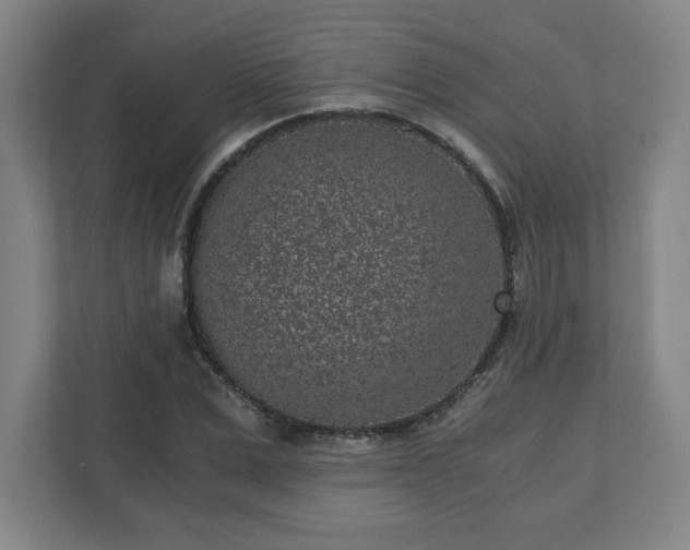 X0000110870975200906251225