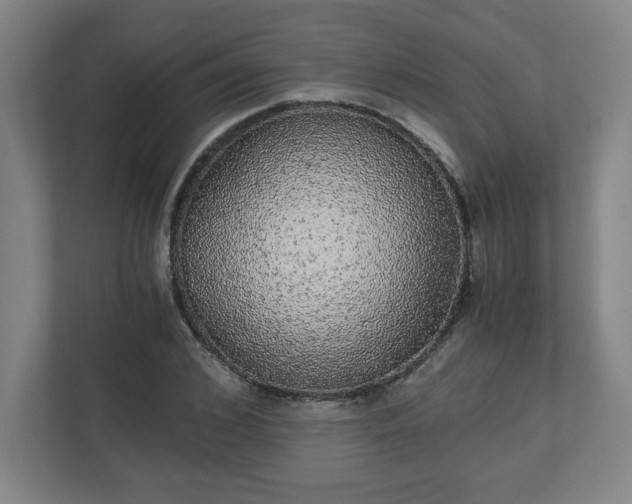 X0000110870976200906251225