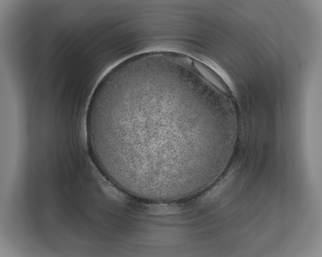 X0000110870980200906251225