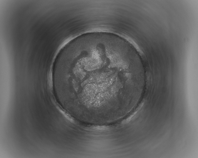 X0000110870982200906251225