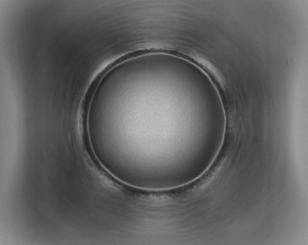 X0000110870983200906251225