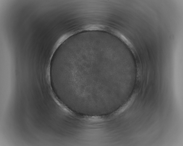 X0000110870986200906251225