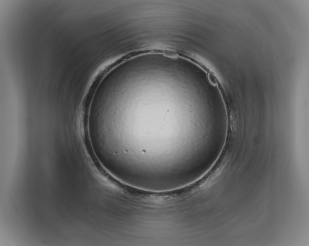 X0000110870987200906251225