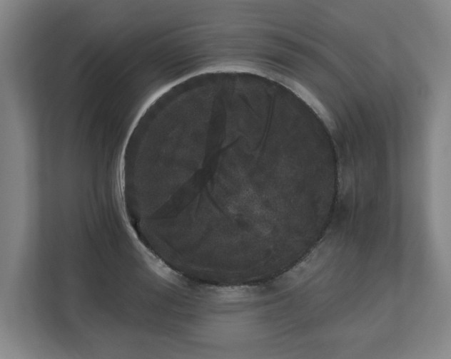 X0000110870988200906251225