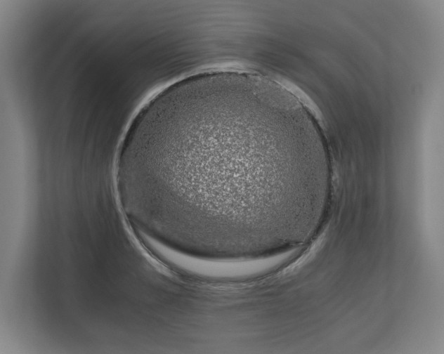 X0000110870989200906251225