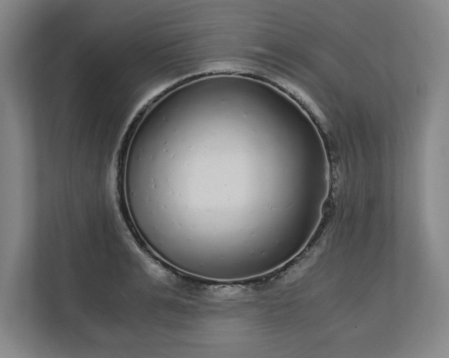 X0000110870991200906251225