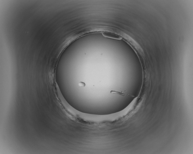 X0000110870993200906251225