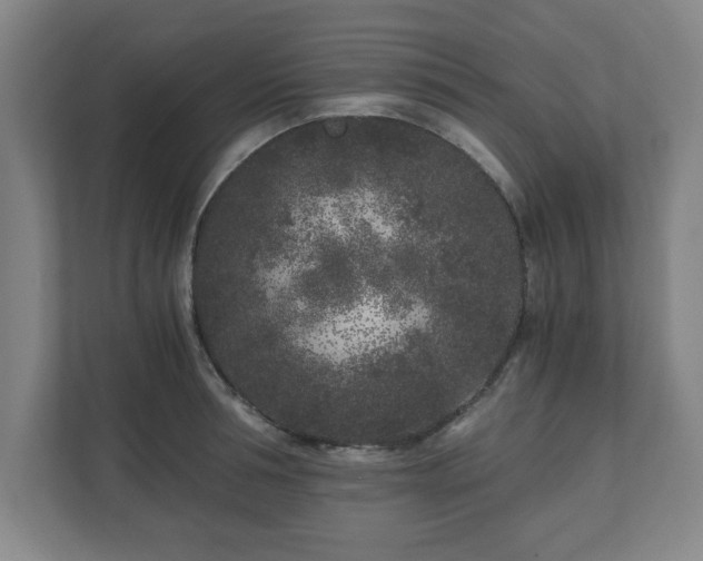 X0000110870994200906251225