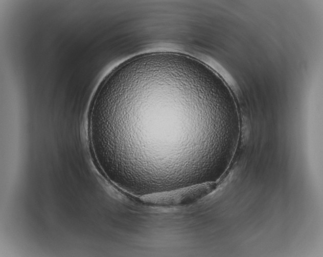 X0000110870996200906251225